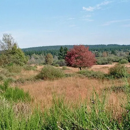 Muehlenley